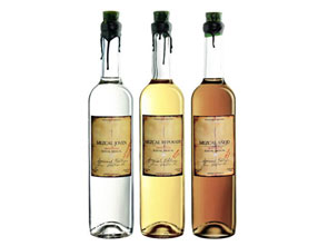 mezcal libero arbitrio