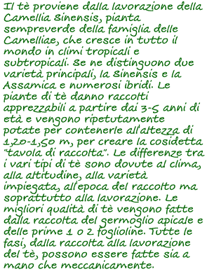 1 tè reggio emilia libero arbitrio